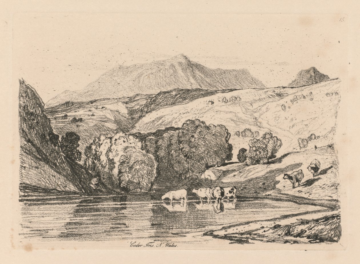  द्वारा जॉन बेच Cotman