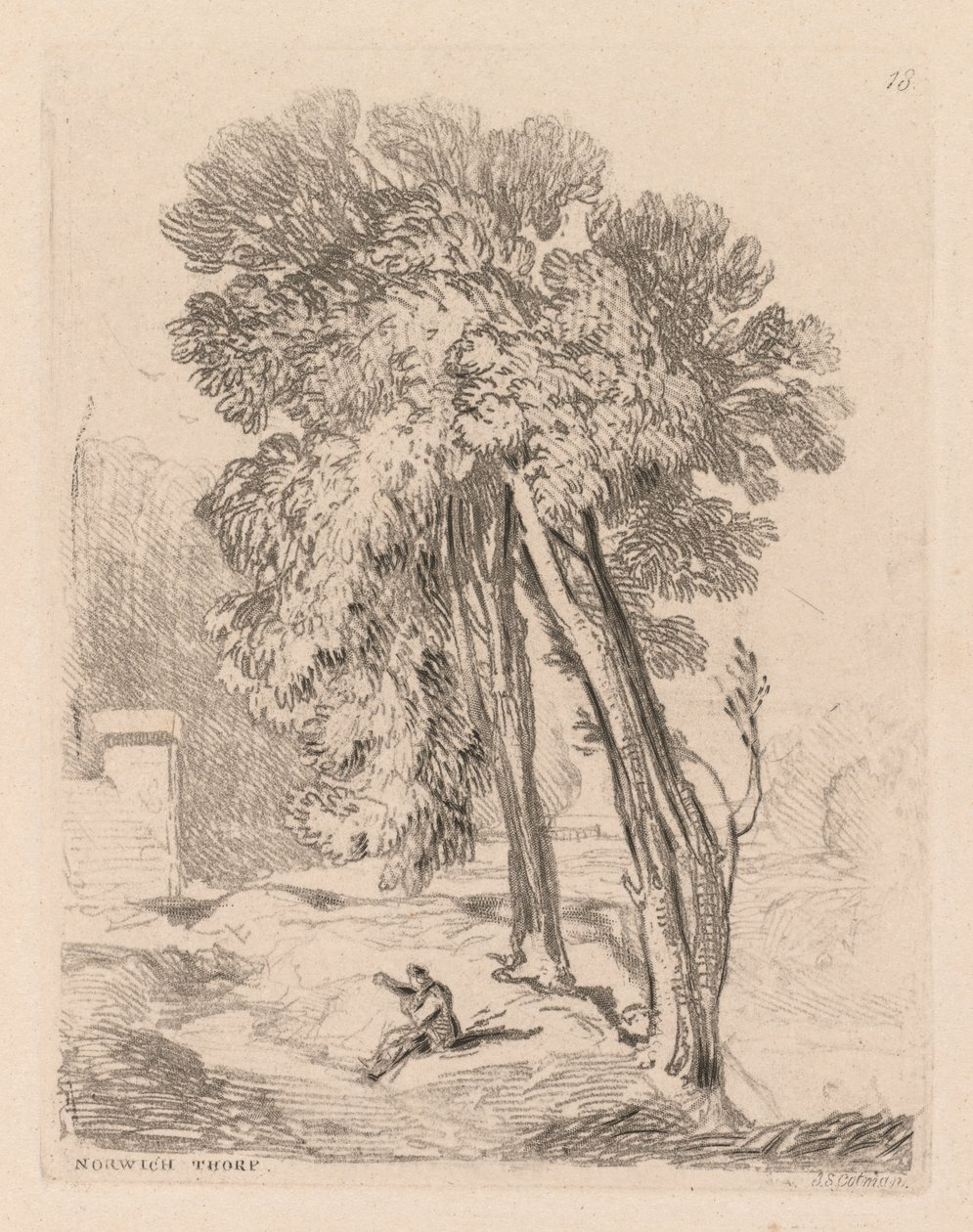  द्वारा जॉन बेच Cotman