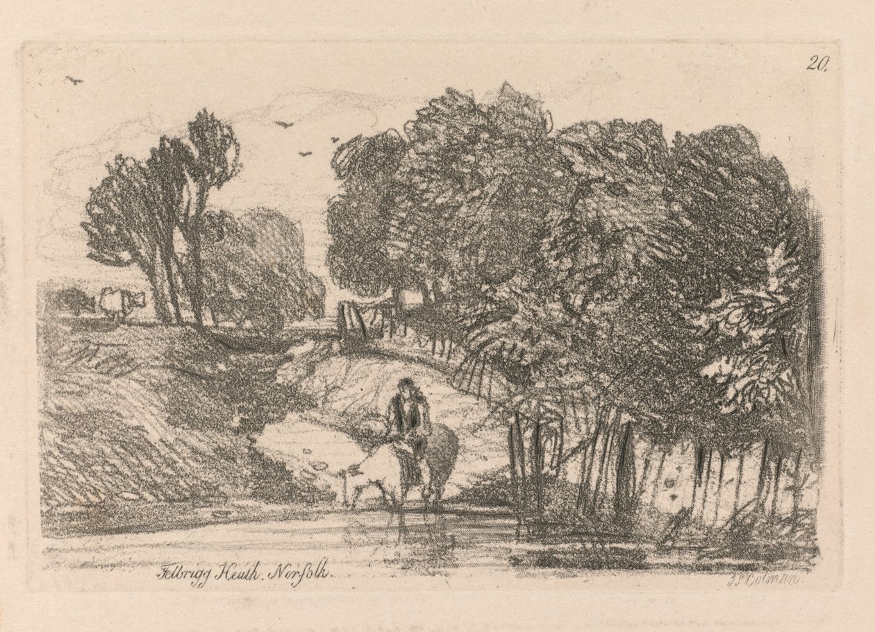 अध्ययन मुक्त प्लेट 20, Felbrigg हीथ, नोरफोक, 1838 कर रहे हैं। द्वारा जॉन बेच Cotman
