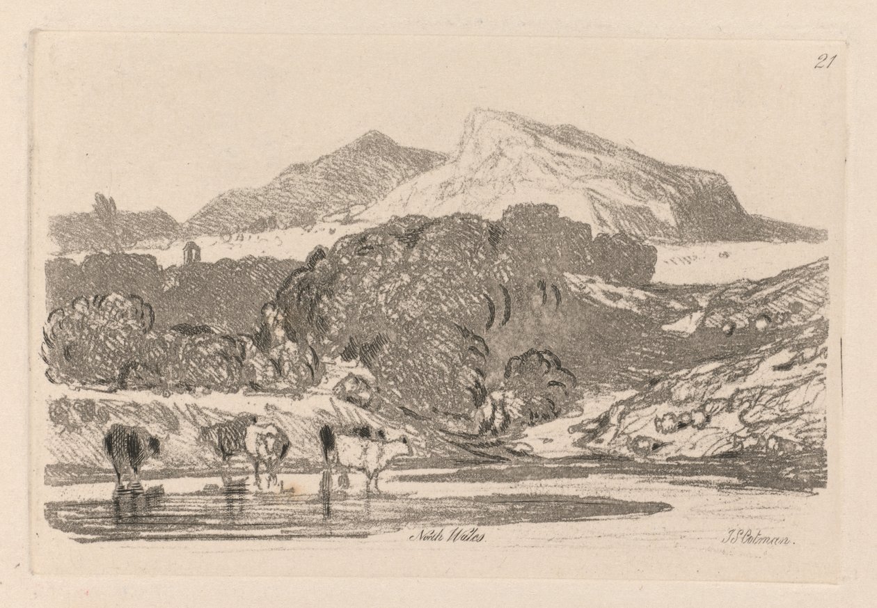  द्वारा जॉन बेच Cotman