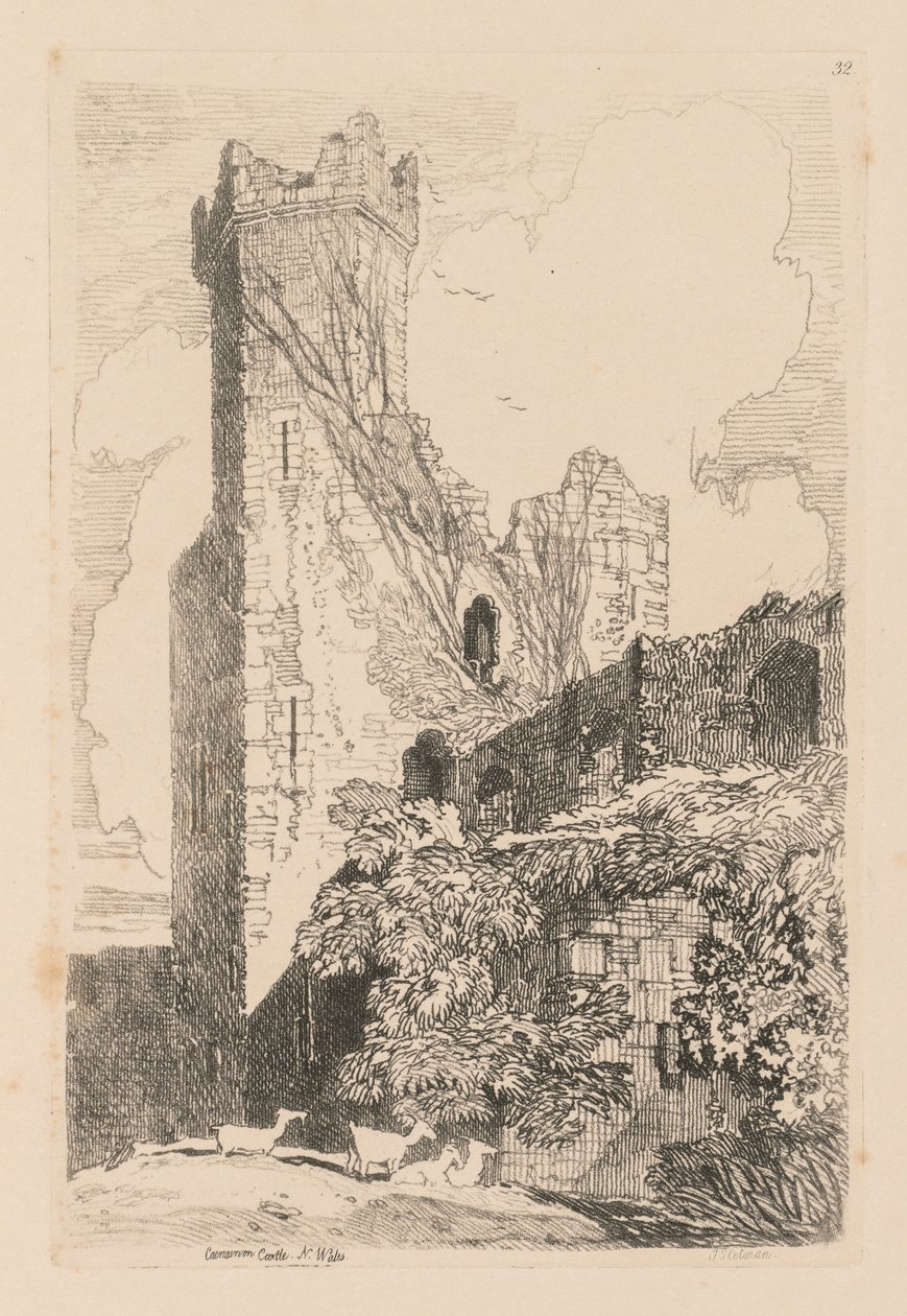  द्वारा जॉन बेच Cotman