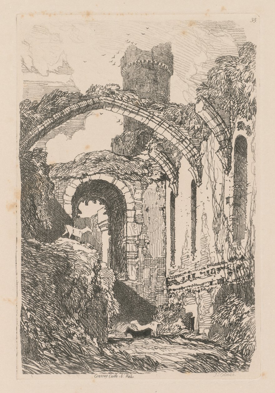  द्वारा जॉन बेच Cotman