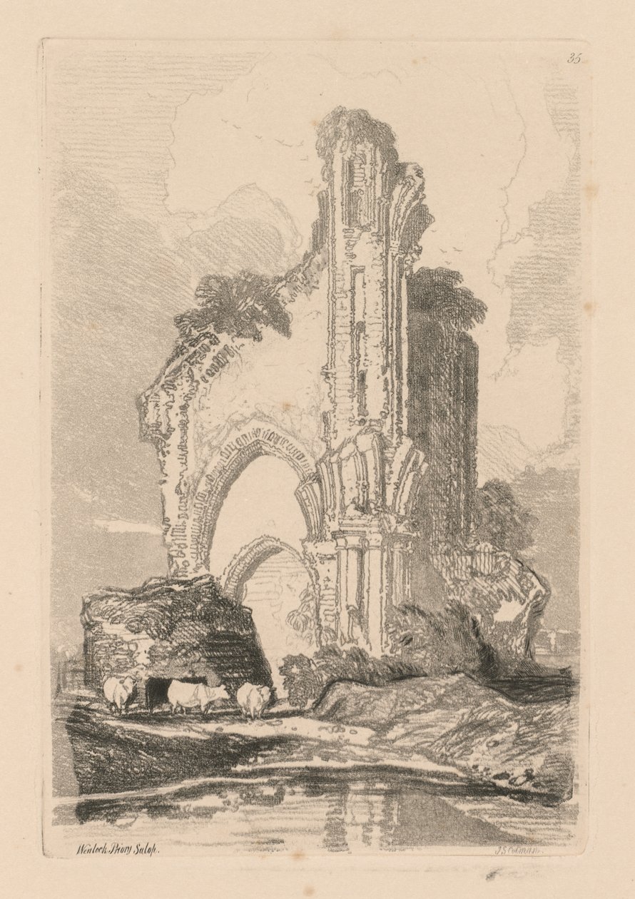  द्वारा जॉन बेच Cotman