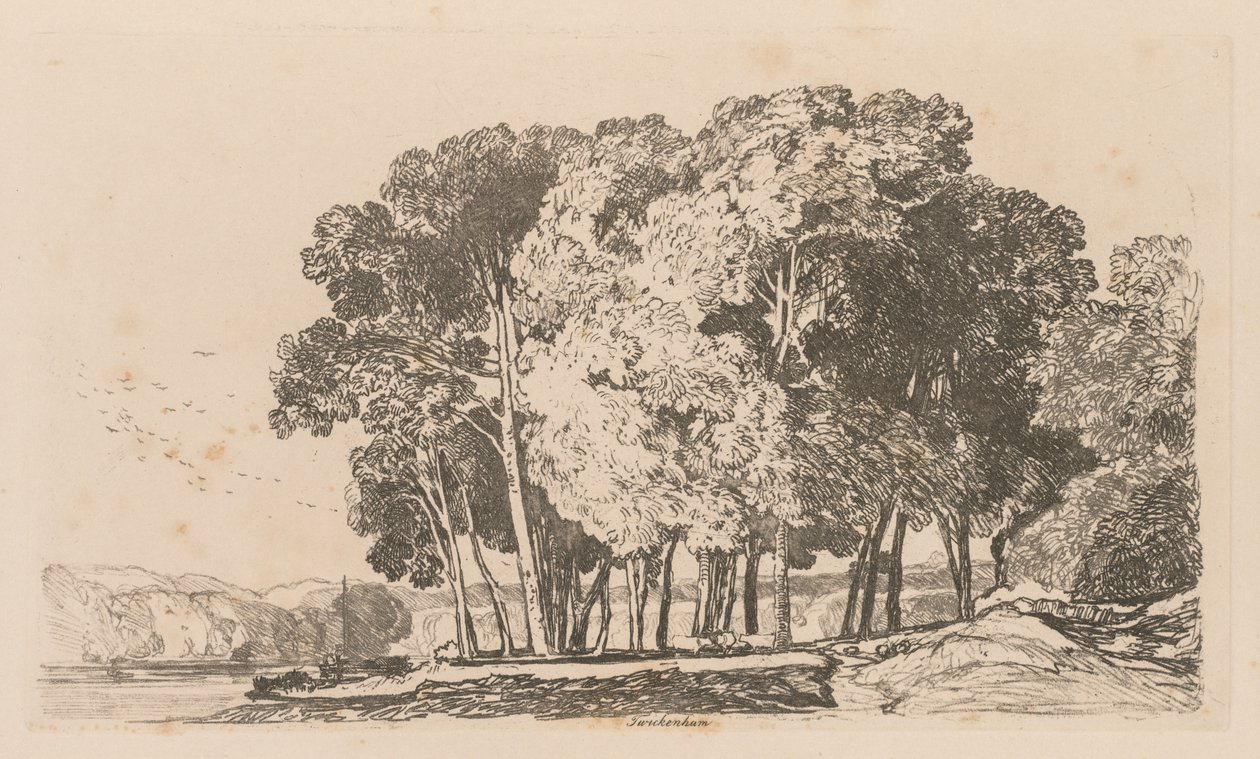  द्वारा जॉन बेच Cotman