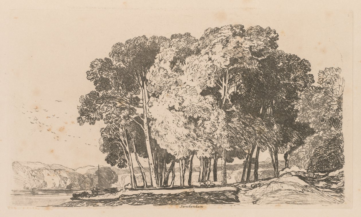 अध्ययन Twickenham, 1838 के पास 3 पेड़ मुक्त प्लेट कर रहे हैं। द्वारा जॉन बेच Cotman
