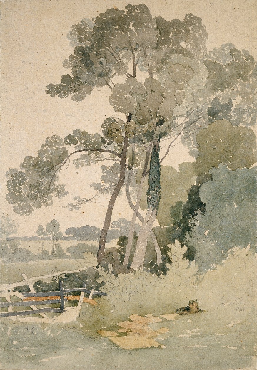 ब्रांड्सबी के पास, यॉर्कशायर, 1865 द्वारा जॉन बेच Cotman