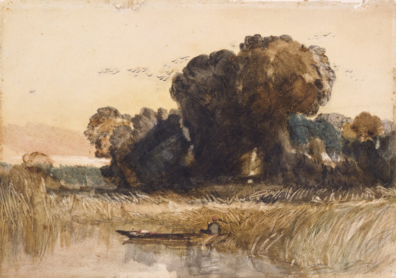  द्वारा जॉन बेच Cotman