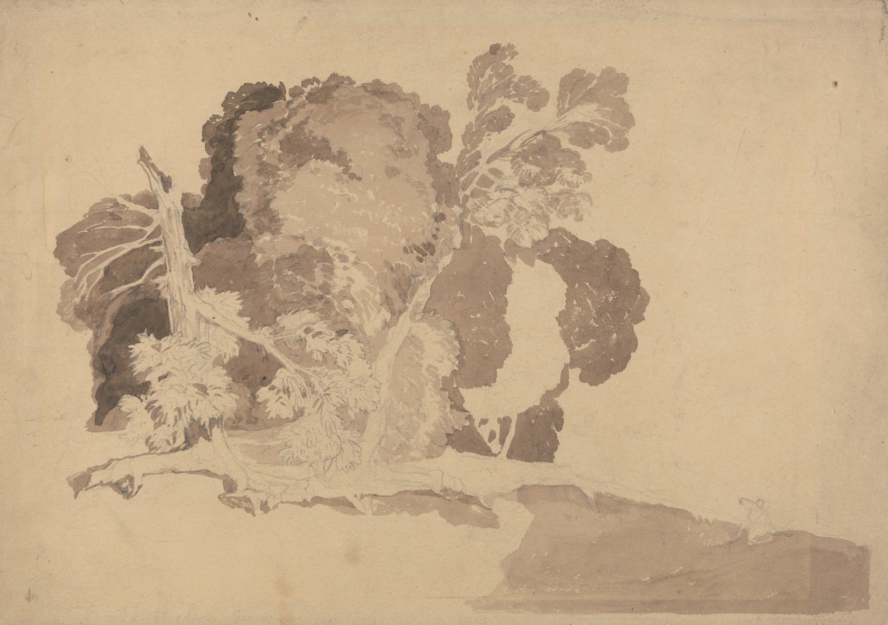  द्वारा जॉन बेच Cotman