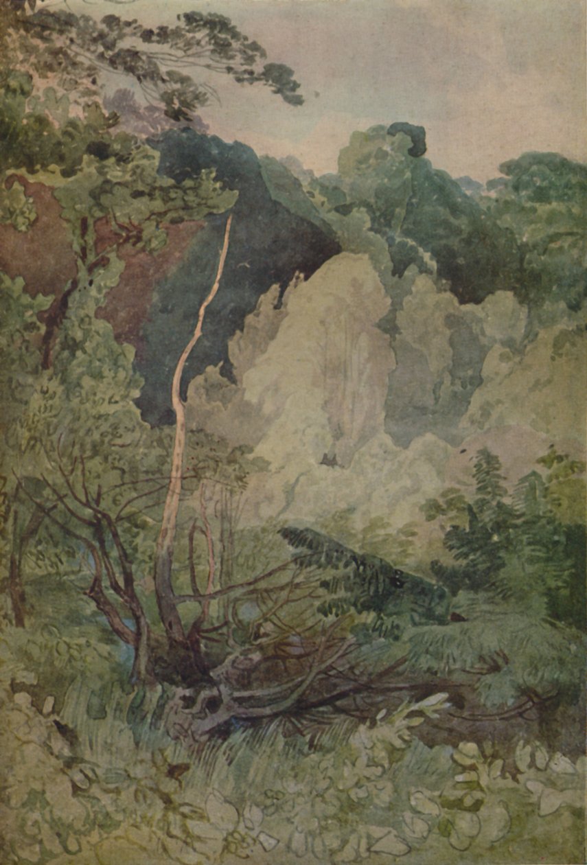 ग्रेटा नदी के पास पेड़, 1923 द्वारा जॉन बेच Cotman