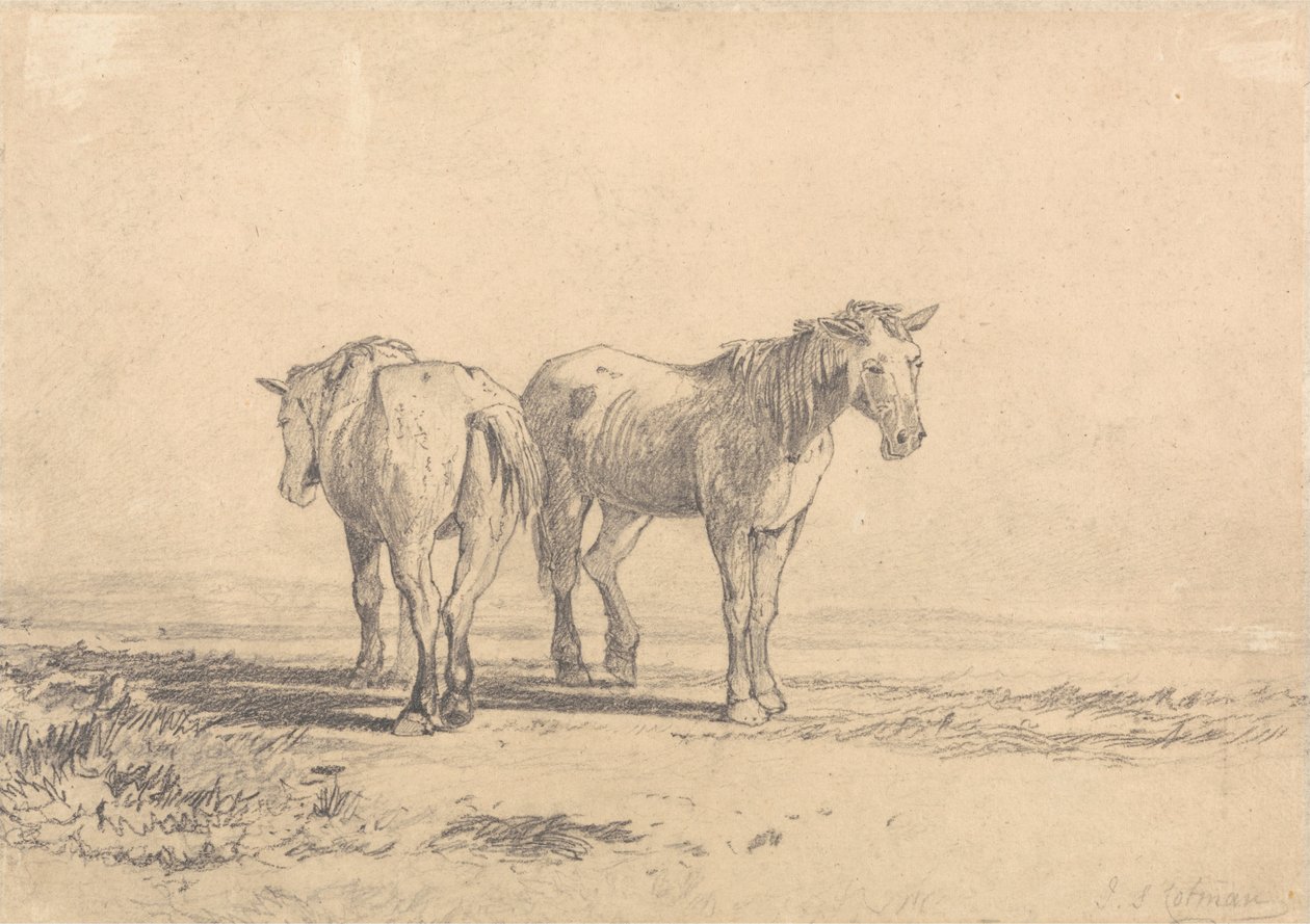  द्वारा जॉन बेच Cotman