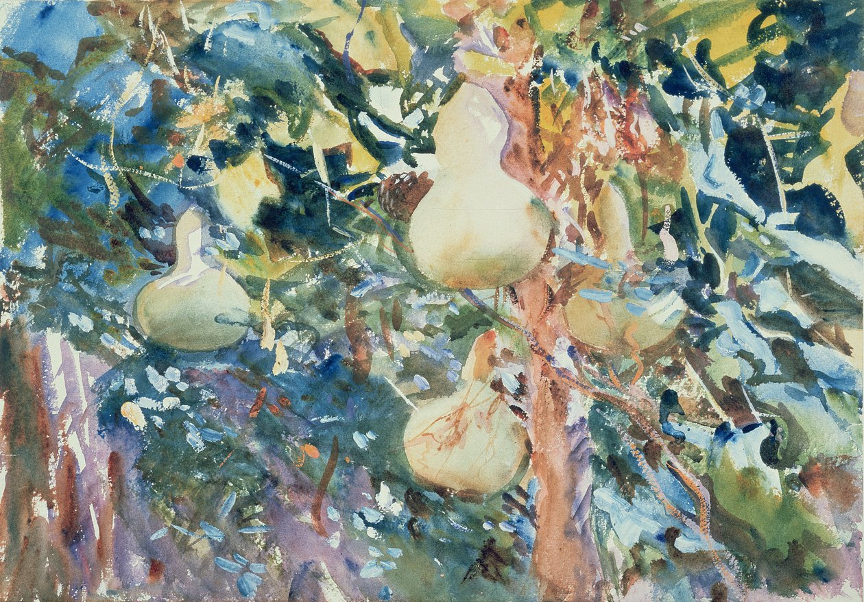 लौकी, c.1905 (wc कागज पर) द्वारा जॉन सिंगर सार्जेंट