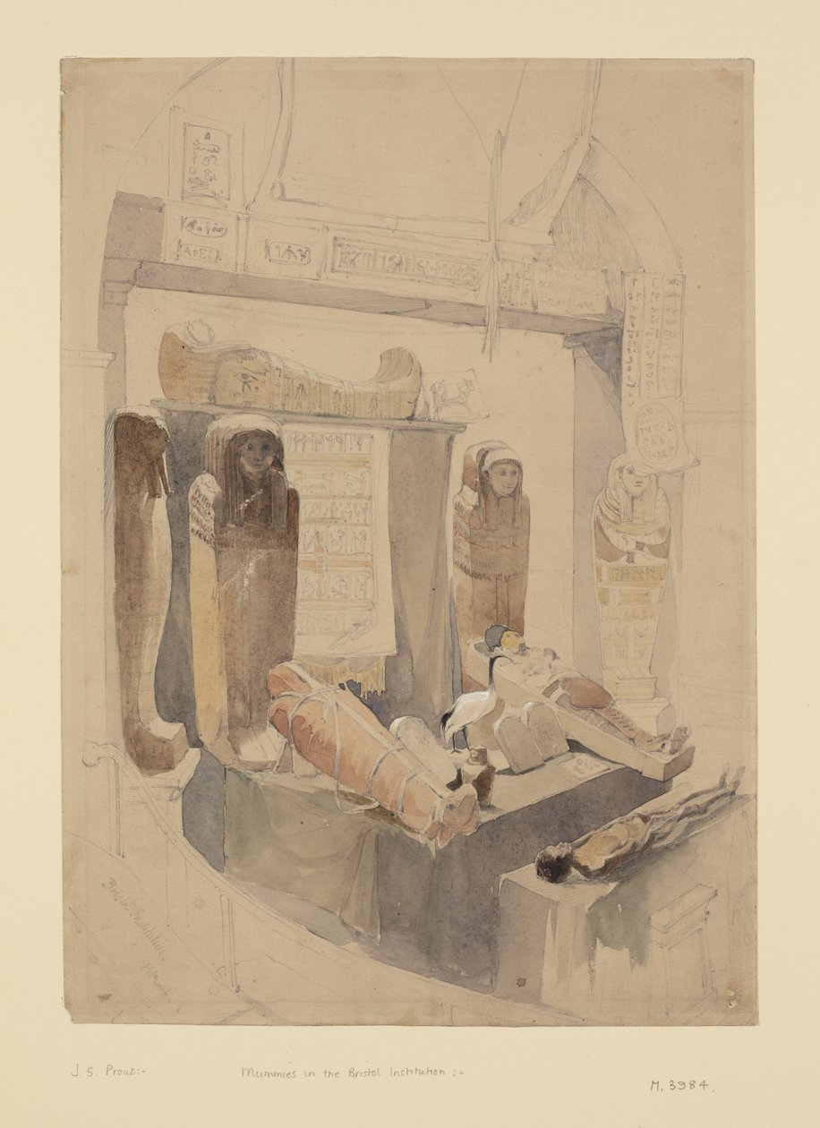 ब्रिस्टल इंस्टीट्यूशन में ममियां, c.1834 (कागज पर वॉटरकलर और पेंसिल) द्वारा जॉन स्किनर प्राउट