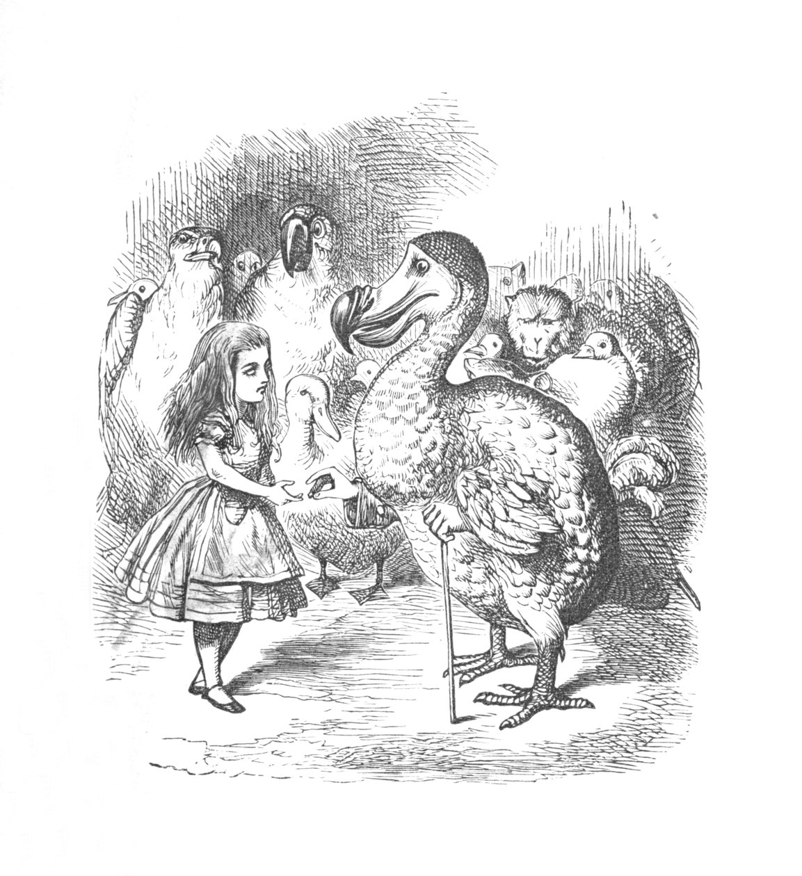 ऐलिस और डोडो, 1889 द्वारा जॉन टेनिएल