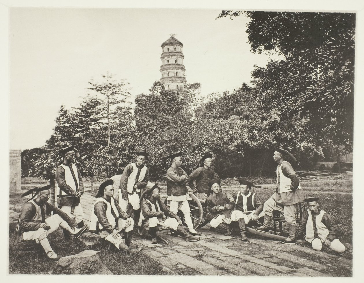  द्वारा जॉन थॉमसन