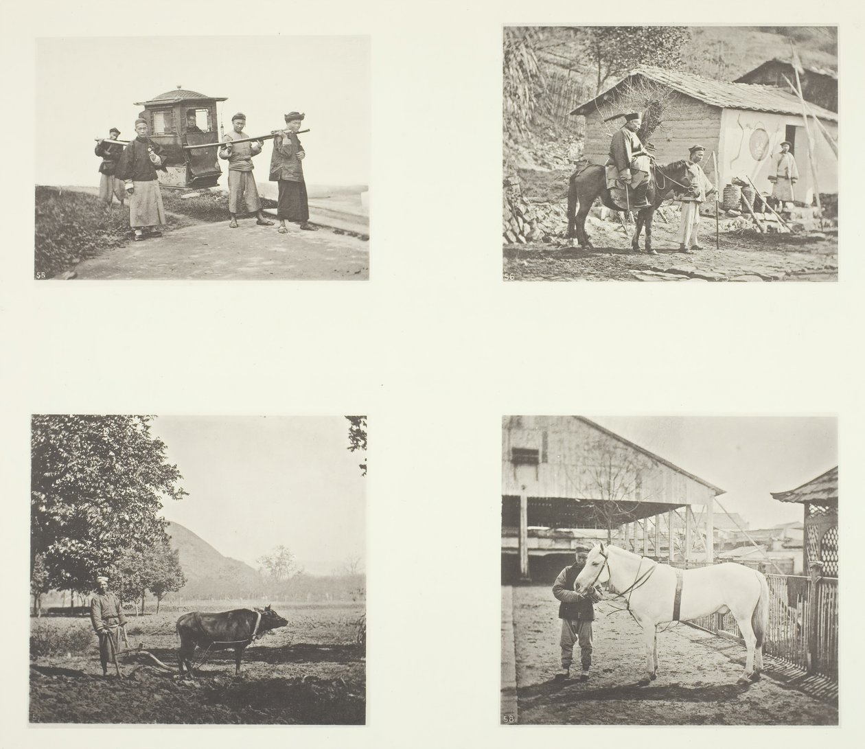 सेडान, एक सैन्य अधिकारी, हल, एक उत्तरी चीन टट्टू, सी। 1868. द्वारा जॉन थॉमसन