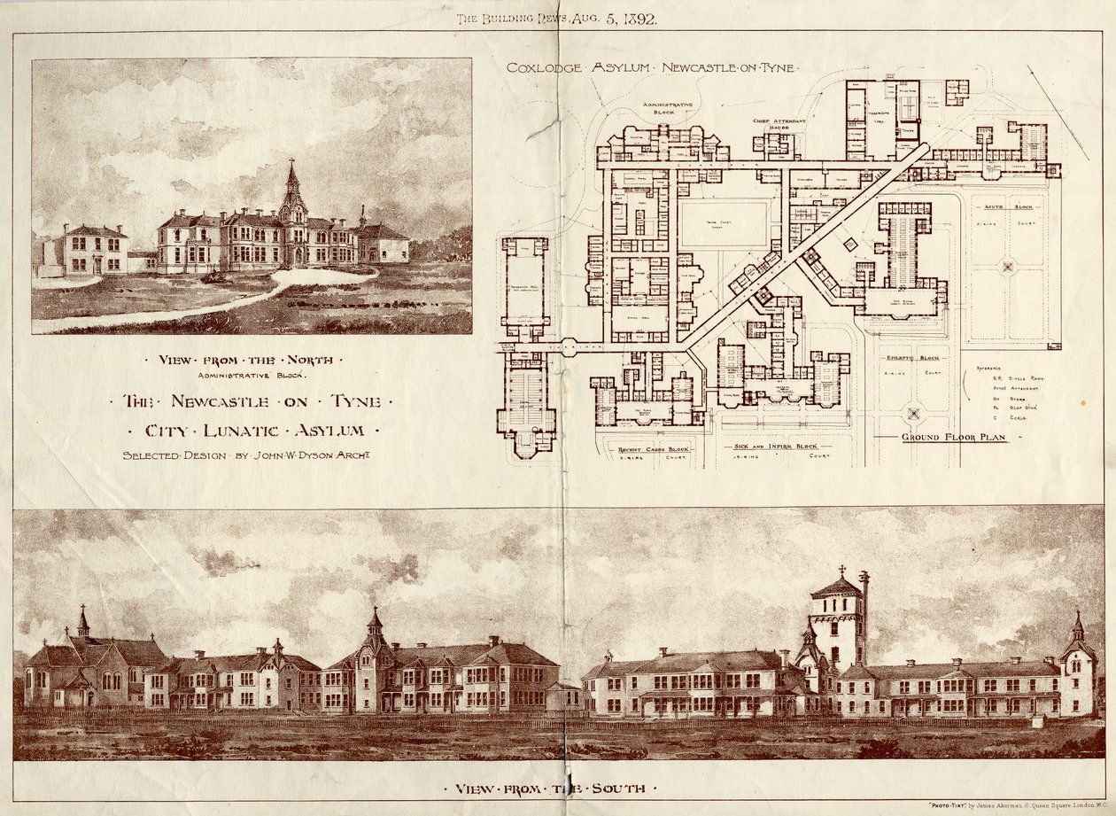 द न्यूकैसल ऑन टाइन ल्यूनेटिक एसाइलम, कॉक्सलॉज, c.1829 (फोटोलिथो) द्वारा जॉन विलियम डायसन
