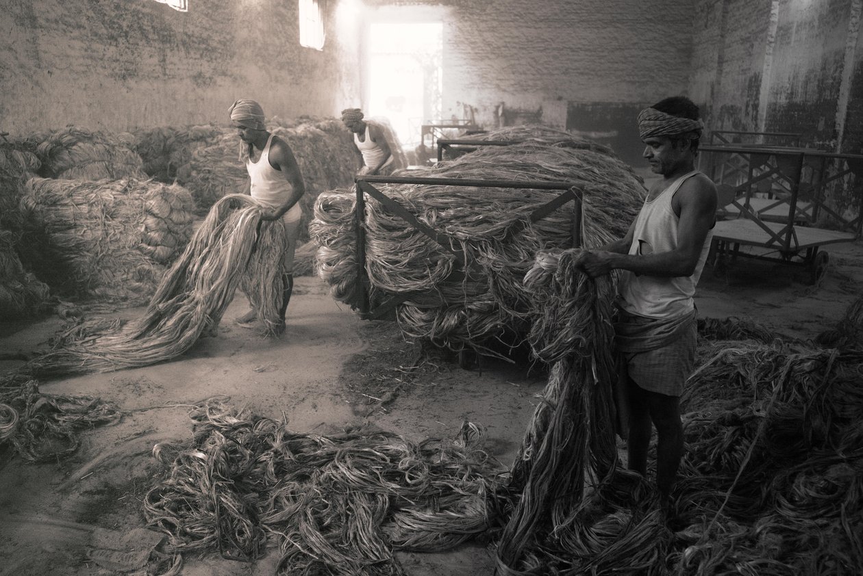  द्वारा जॉन निकोलसन
