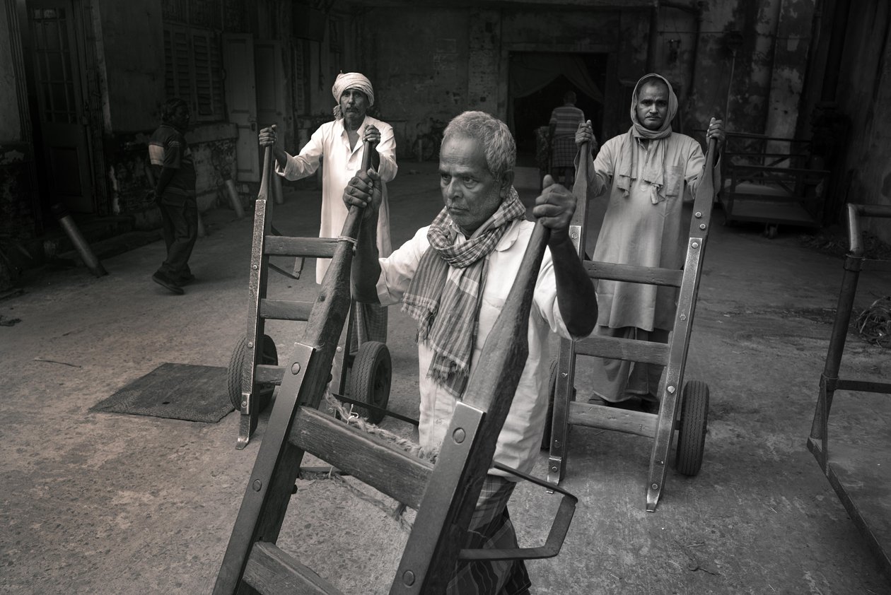  द्वारा जॉन निकोलसन
