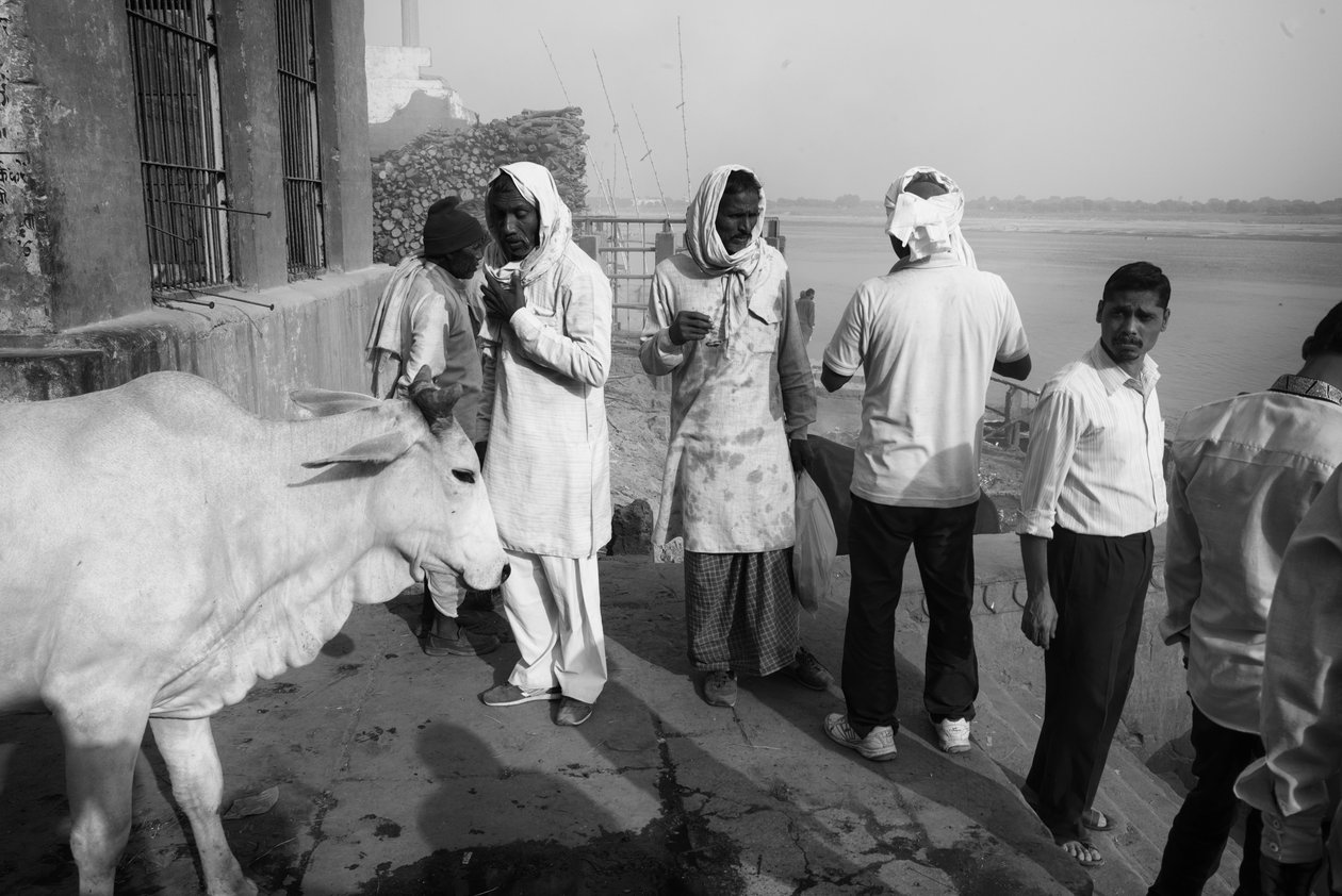  द्वारा जॉन निकोलसन