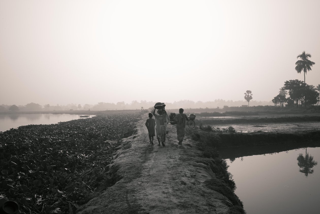  द्वारा जॉन निकोलसन