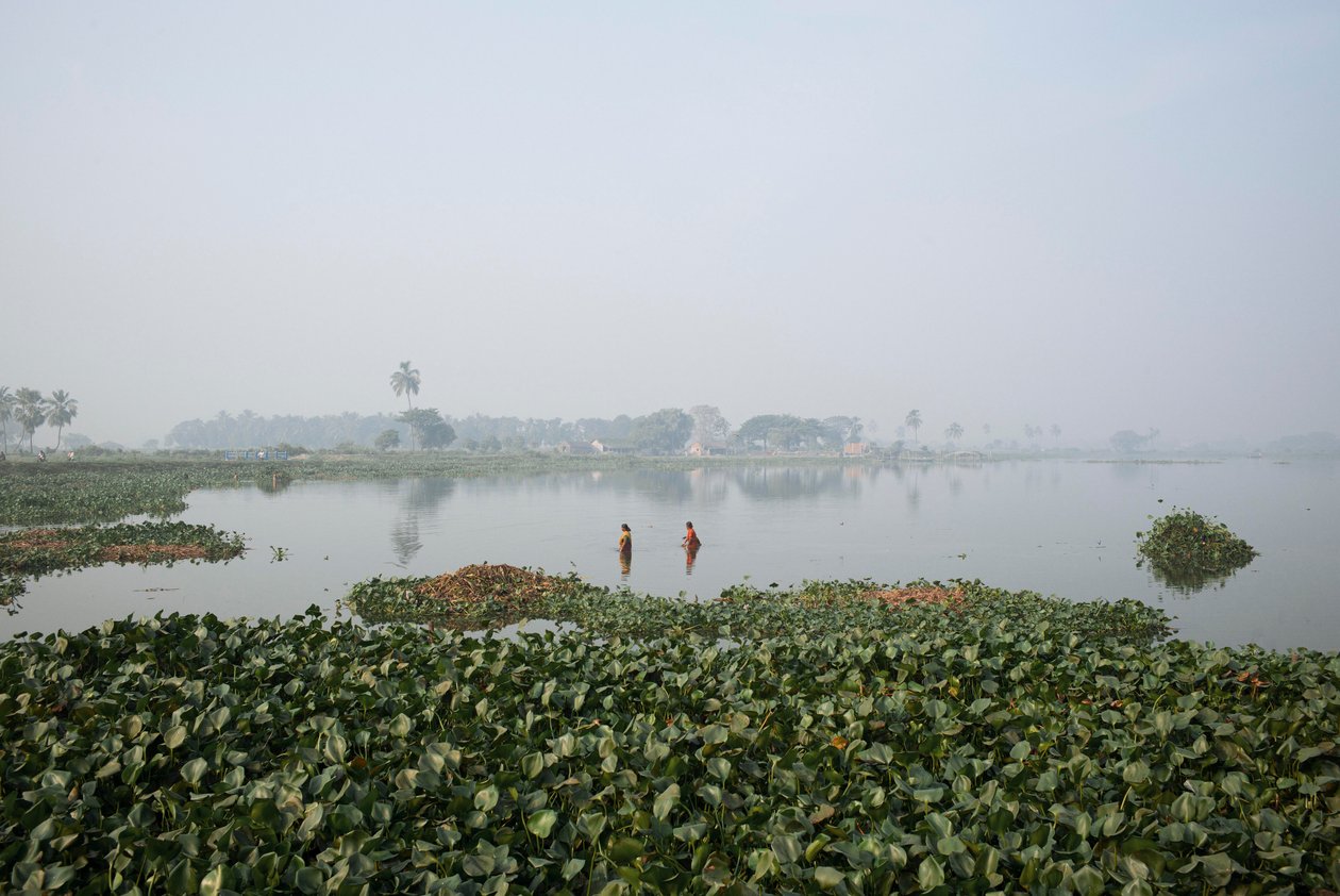  द्वारा जॉन निकोलसन