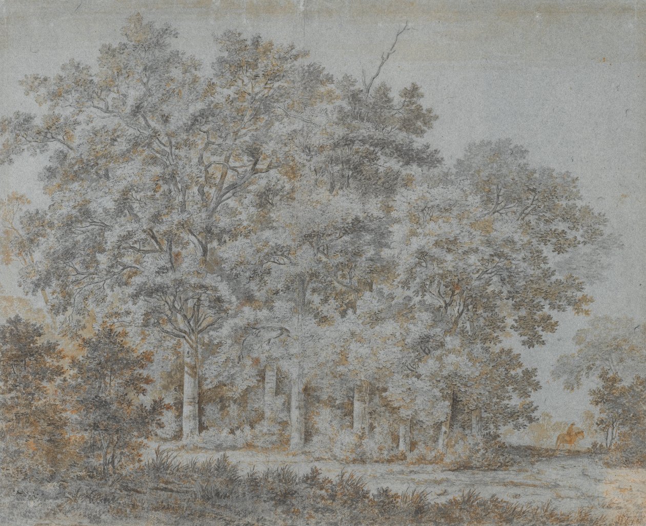  द्वारा जोरिस वैन डेर हेगन