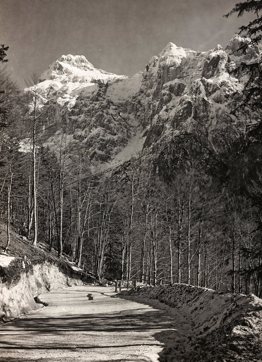एल्बम "मेरा विश्व युद्ध - दक्षिण-पश्चिम मोर्चे की यादें (कैरिंथिया, इटली, दक्षिण टायरॉल) (मेरा विश्व युद्ध - कारिंथिया, इटली में दक्षिण-पश्चिमी मोर्चे की यादें, ट्रेंटिनो-ऑल्टो अडिगे) 31/03 / 1915-12 / ११ / १९१८ - जोसेफ ज़ोहलेस वियना ": माउंटेन र द्वारा जोसेफ़ ज़ोहल्स