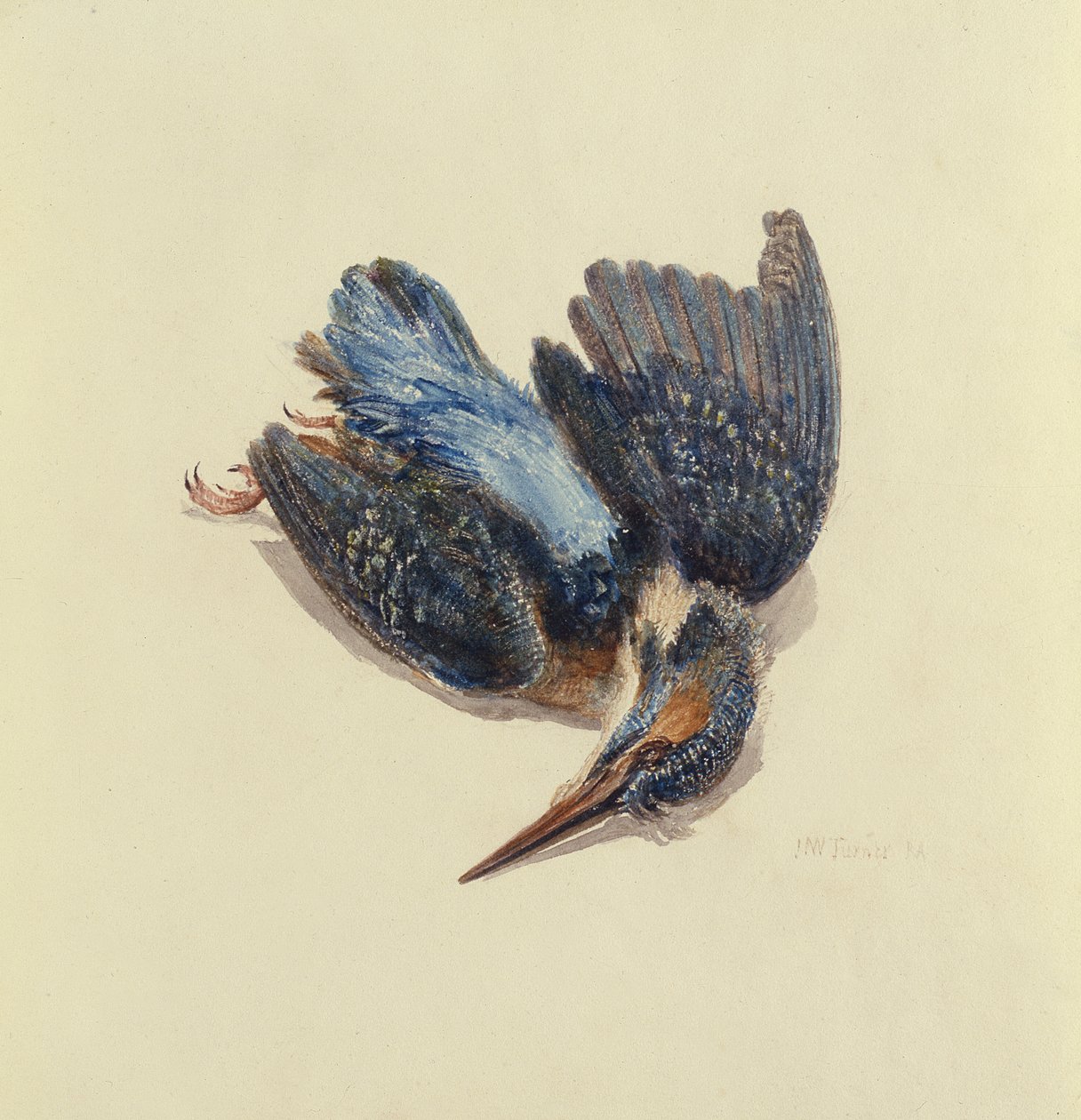 किंगफिशर, द फ़ार्नले बुक ऑफ़ बर्ड्स से, c.1816 (कागज पर कलम और स्याही और पानी के रंग का) द्वारा जोसेफ मैलॉर्ड विलियम टर्नर