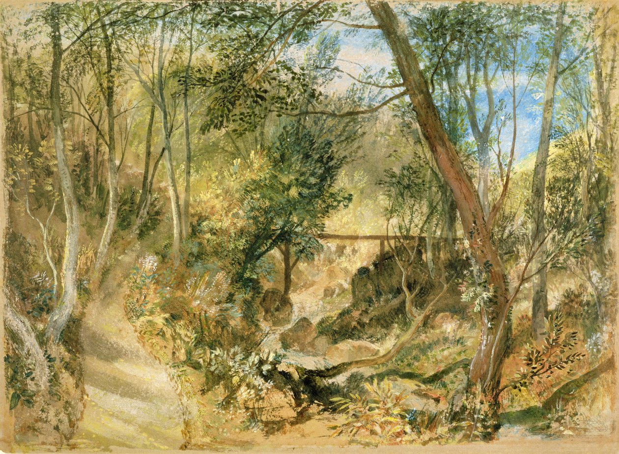 PD.50-1958 द वुडवॉक, फ़ार्नले हॉल, c.1818 (wc und gouache) द्वारा जोसेफ मैलॉर्ड विलियम टर्नर