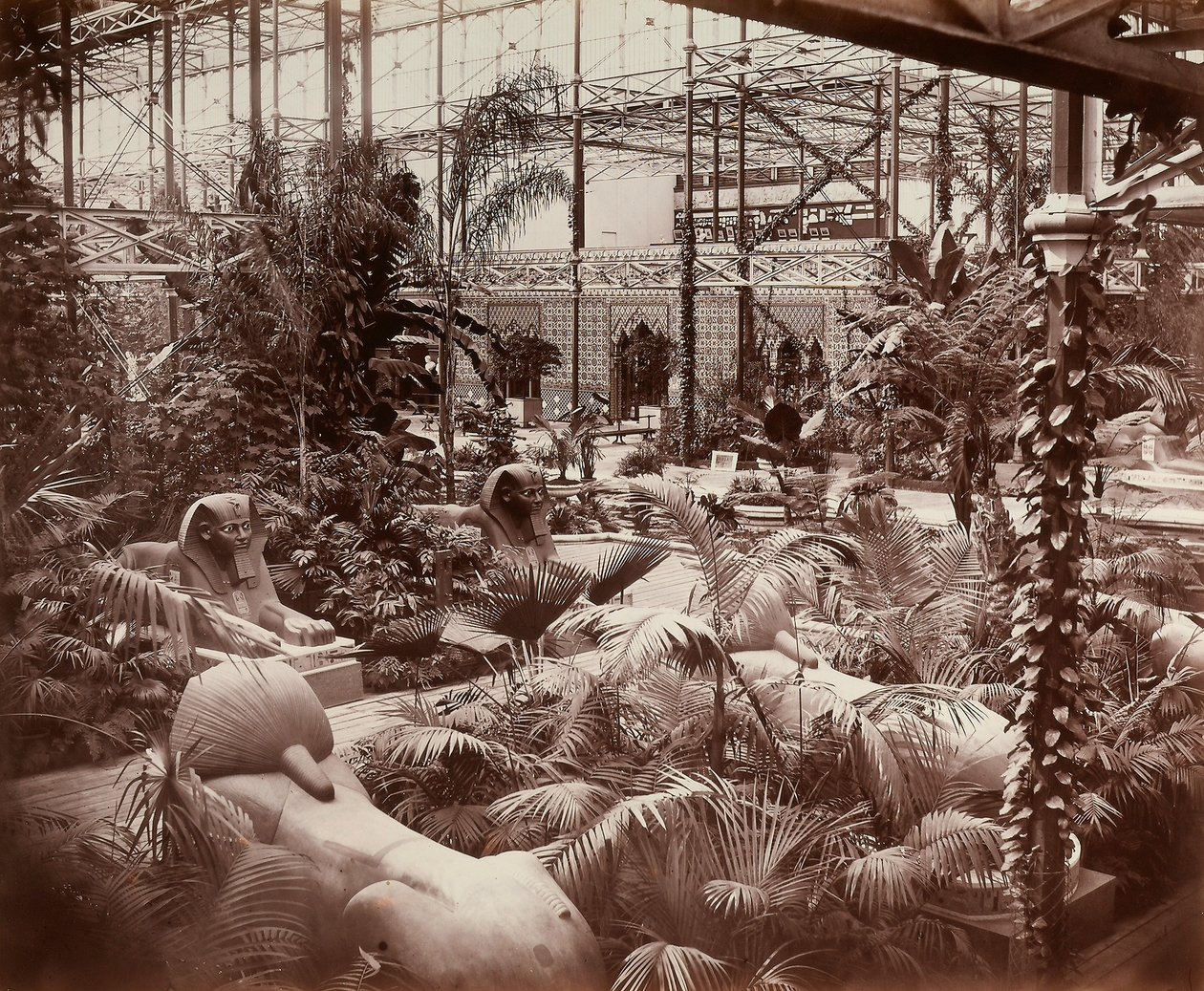 लंदन में क्रिस्टल पैलेस: उष्णकटिबंधीय खंड, c.1870 (b/w फोटो) द्वारा जोसेफ पैक्सटन