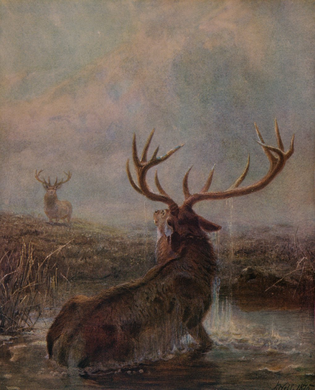 बाधित, 1875, 1938 द्वारा जोसेफ वुल्फ