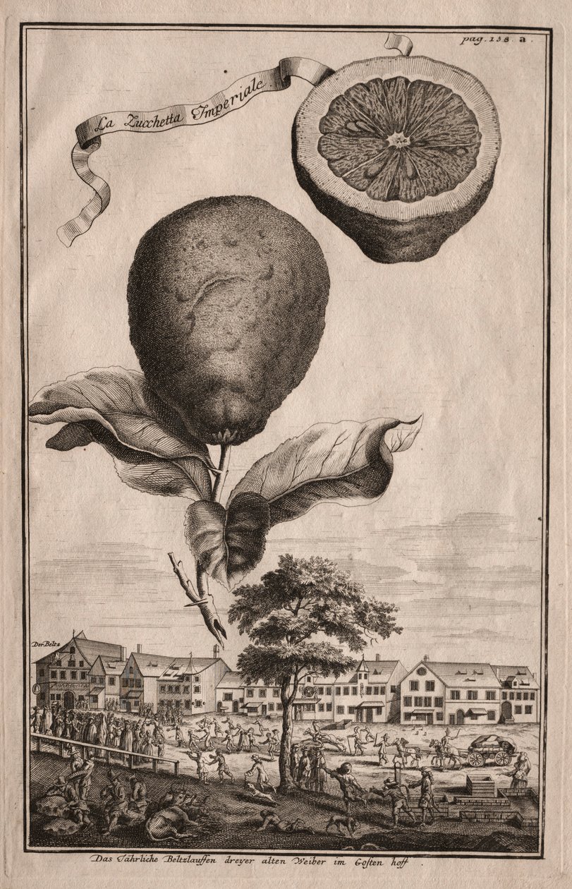 Nurnbergische Hesperides: द लूशेट्टा इंपोरियल, 1714। द्वारा जोसेफ डी मोंटेलेग्रे