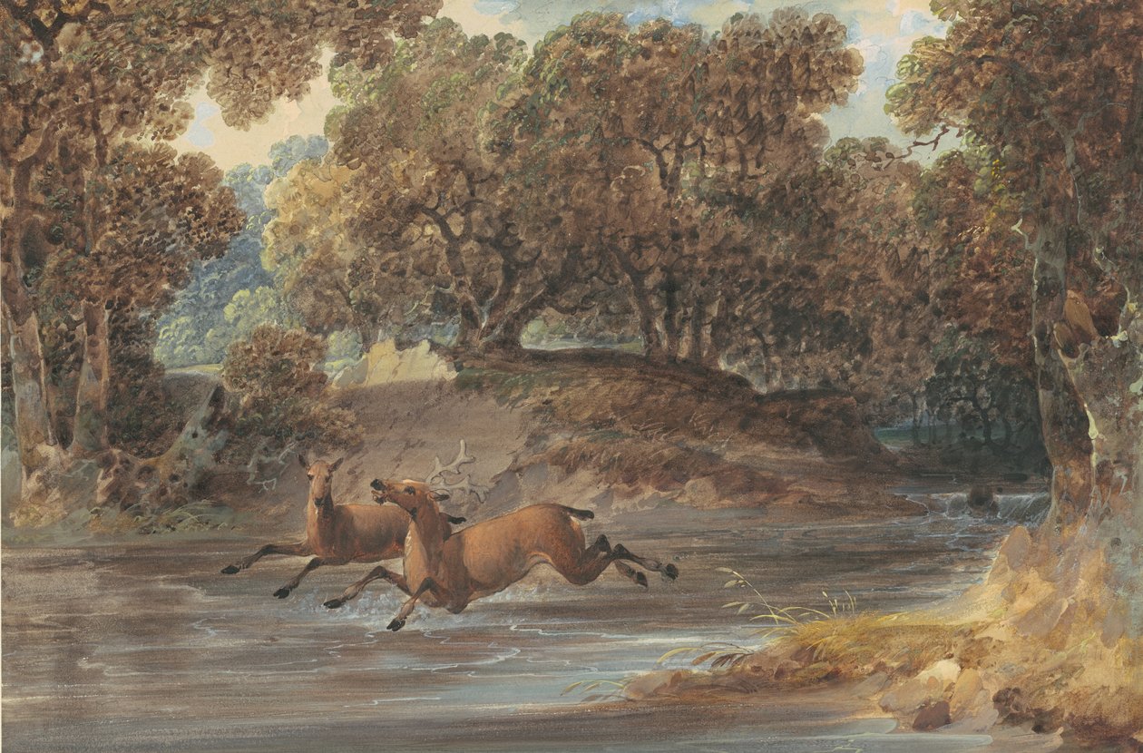 हिरण के साथ लैंडस्केप, उत्तरी केरोलिना, c.1820 (कागज पर ग्रेफाइट पर wc und gouache) द्वारा यहोशू एच। शॉ