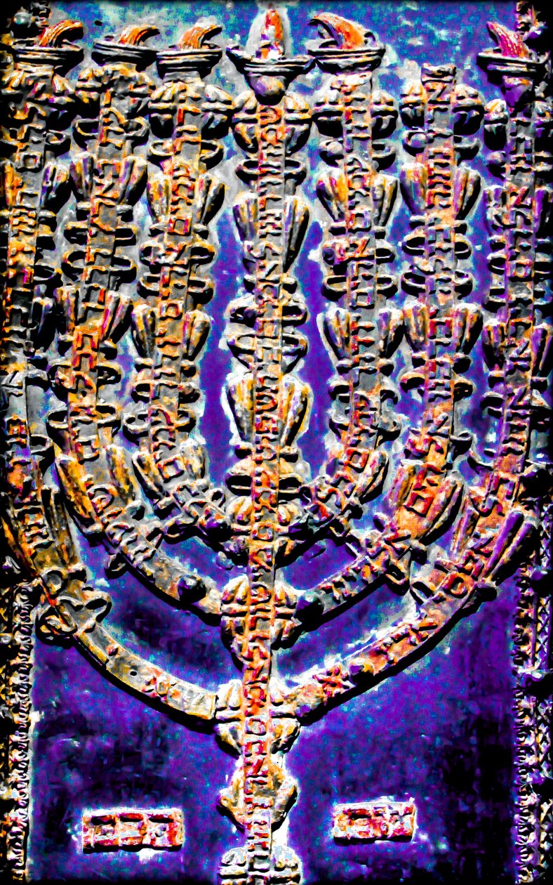  द्वारा जॉय लायंस
