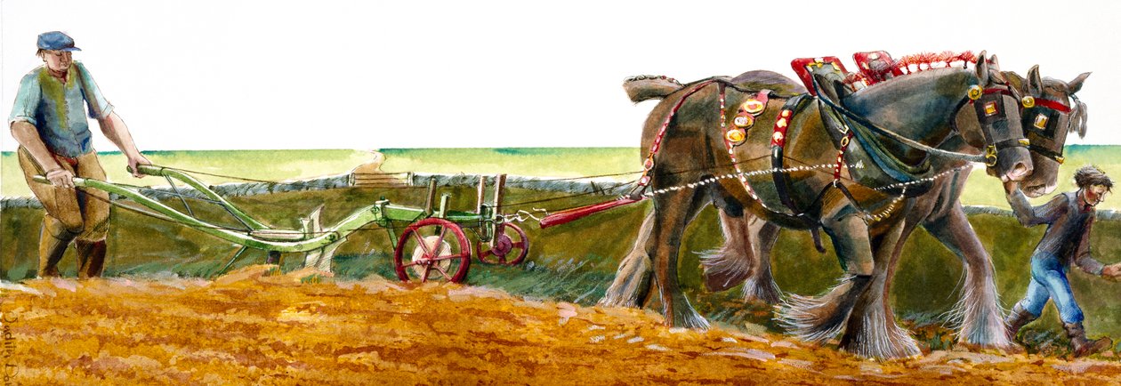 जुताई, c1830-1900, c1990-2010 द्वारा जूडिथ डोबी