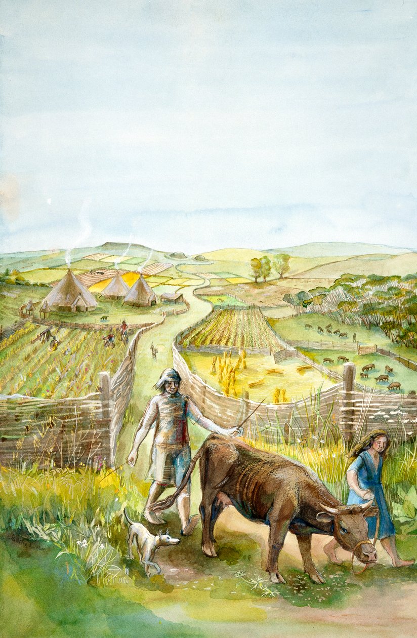 ग्रामीण परिदृश्य, 2000BC, c1990-2010 द्वारा जूडिथ डोबी