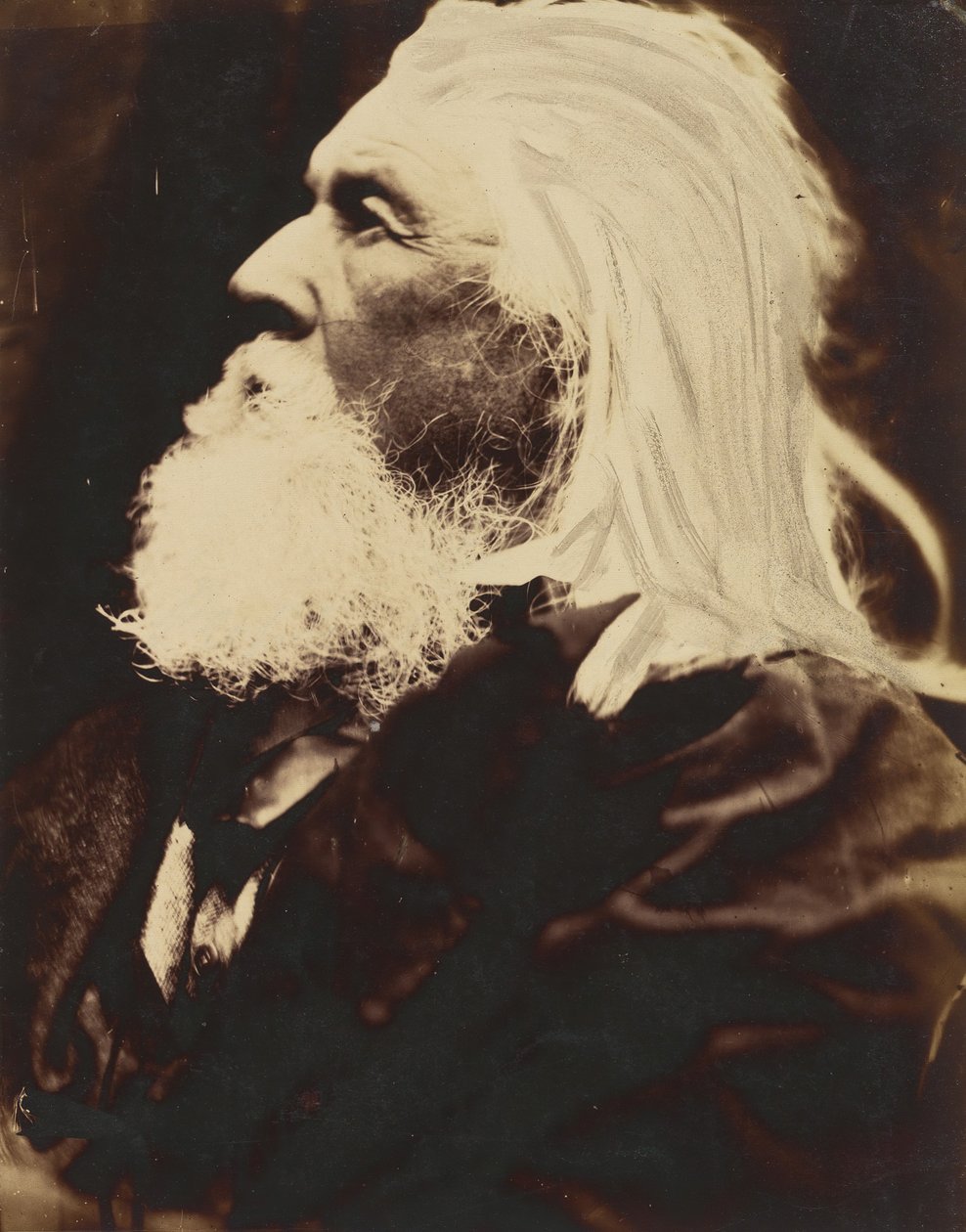 चार्ल्स हे कैमरून, 1864। द्वारा जूलिया मार्गरेट कैमरून