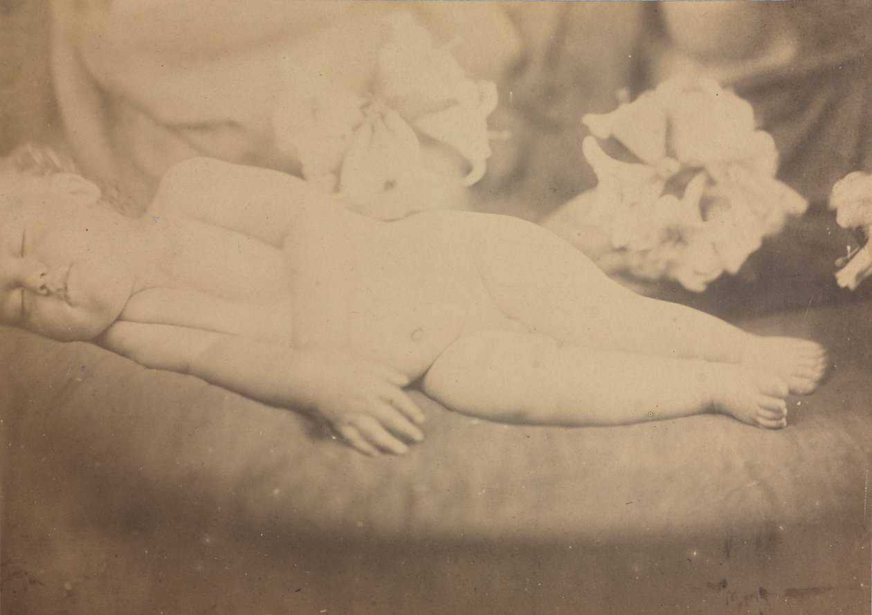 लिली और मेमने, सी। 1865। द्वारा जूलिया मार्गरेट कैमरून