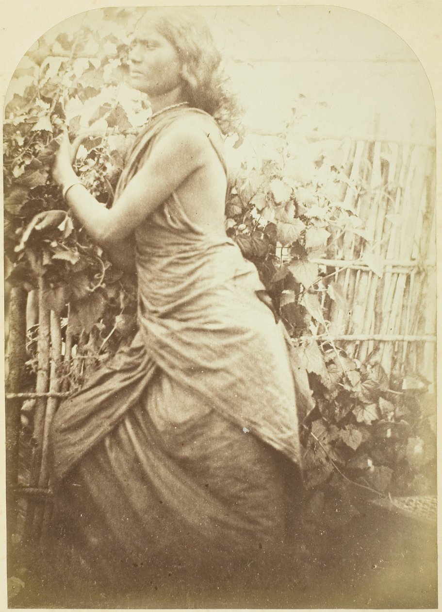 महिला, सीलोन, 187579। द्वारा जूलिया मार्गरेट कैमरून