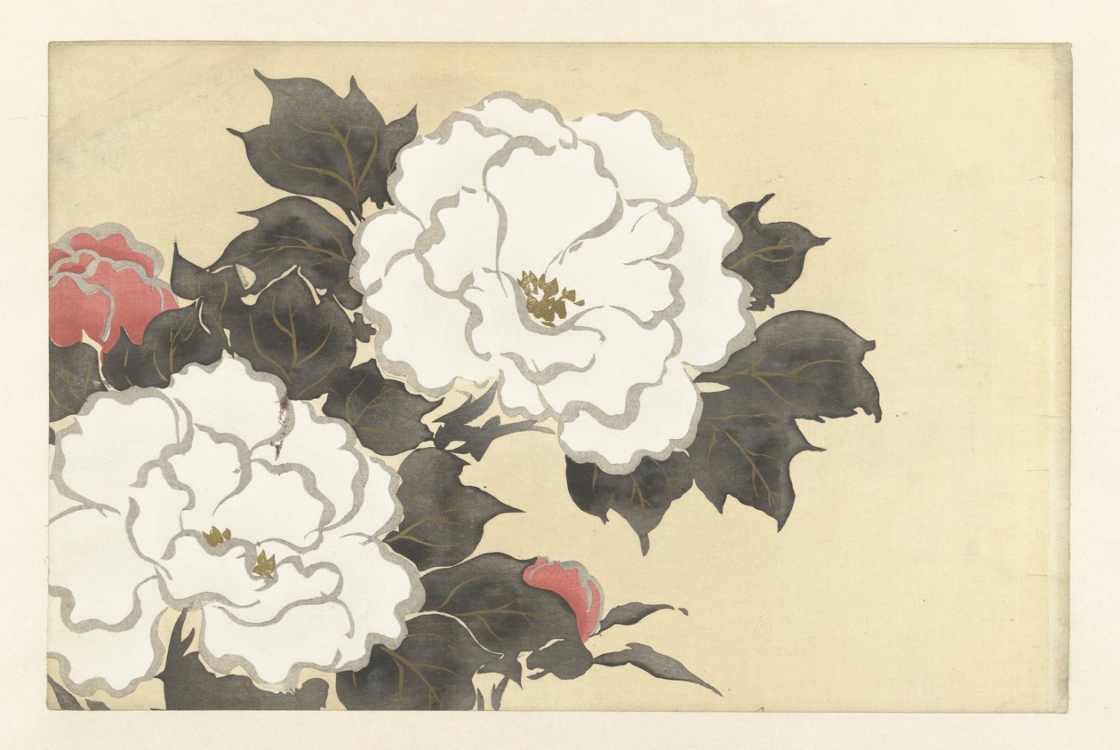 Peonies, 1909 (वुडब्लॉक प्रिंट) द्वारा कमिसाका सेक्का