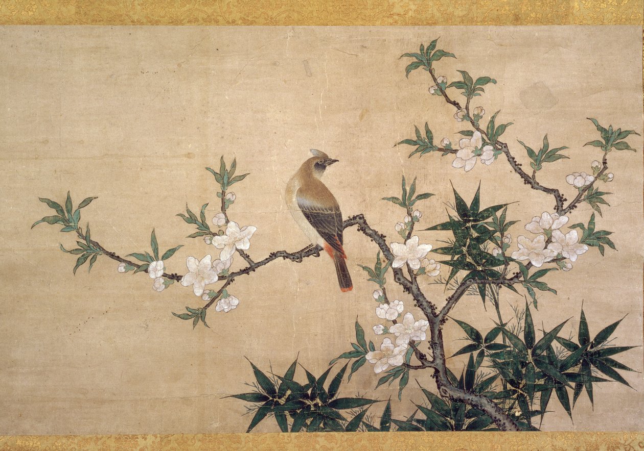 पीच ब्लॉसम पर पक्षी, c.1550-60 (कागज पर पानी के रंग) द्वारा कानो युकिनोबु