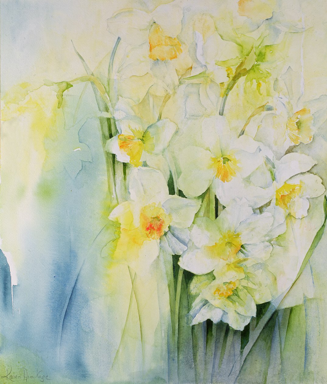 Narcissi और फ़्रीशिया द्वारा करेन शमन
