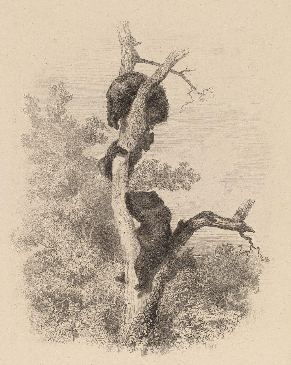 लेस आवर द बियर्स, 18581874। द्वारा कार्ल बॉडर