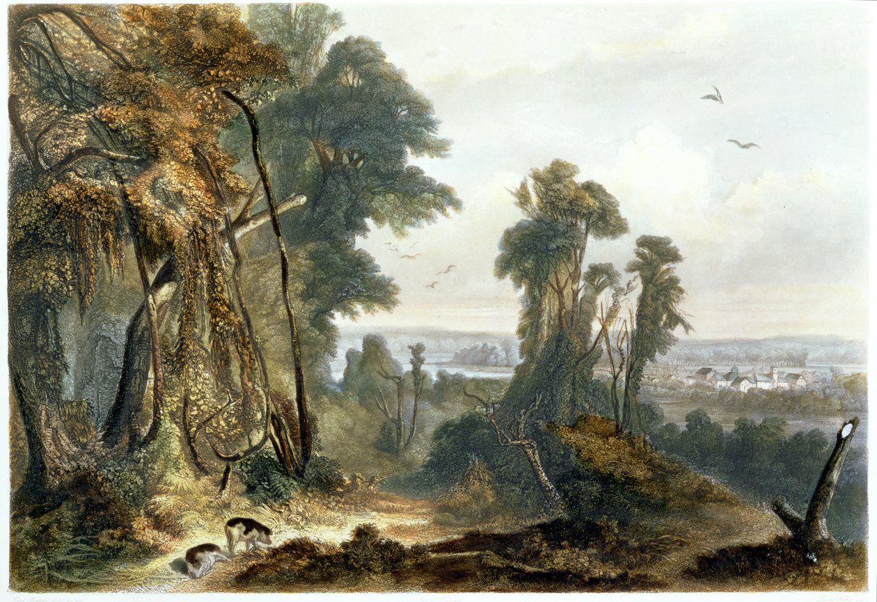 लुबास वेबर, 1844 (एक्वाटिंट) द्वारा उत्कीर्ण &39;ट्रेवल्स इन द नॉर्थ अमेरिका के आंतरिक भाग&39; के खंड 2 से वाबश पर नई सद्भाव द्वारा कार्ल बॉडर