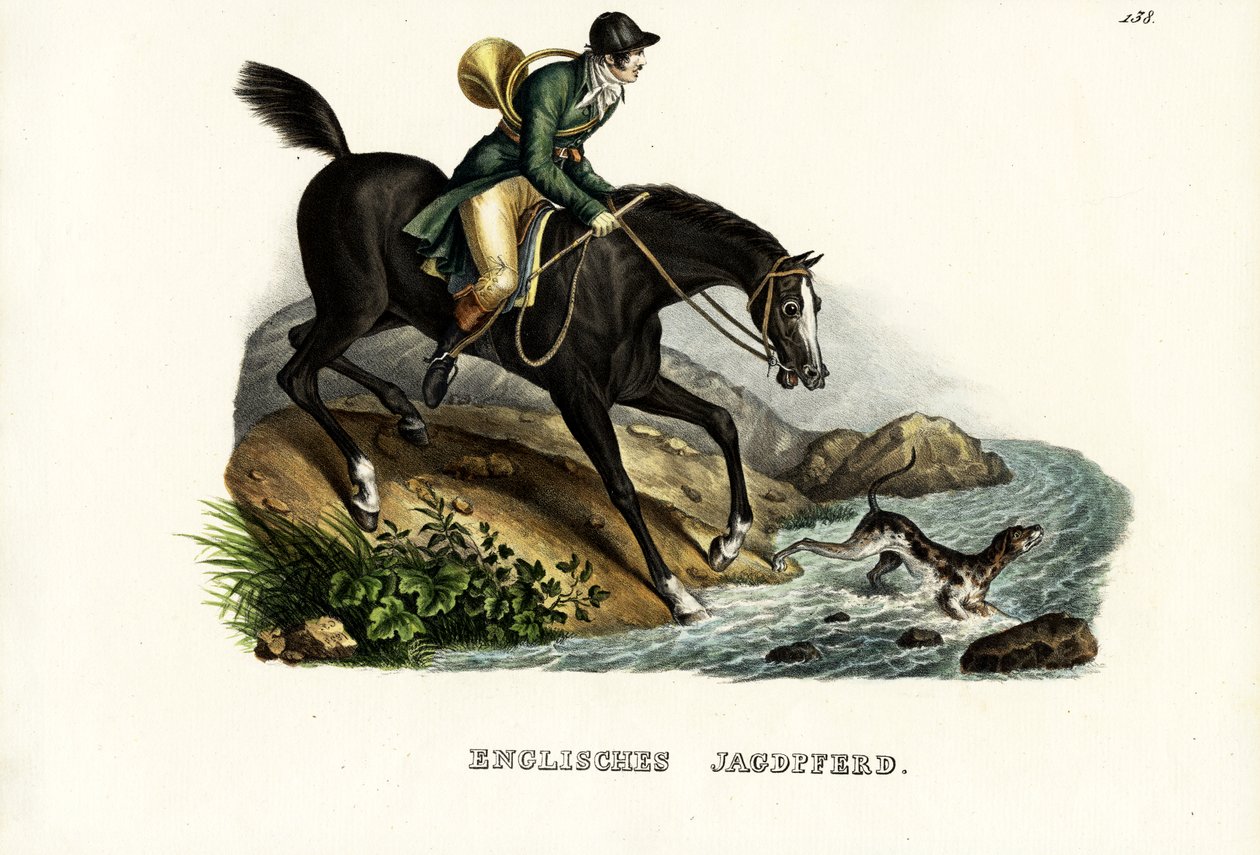 इंग्लिश हंटर हॉर्स, 1824 द्वारा कार्ल जोसेफ ब्रोड्टमैन