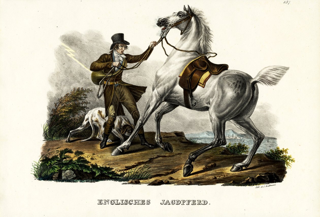 इंग्लिश हंटर हॉर्स, 1824 द्वारा कार्ल जोसेफ ब्रोड्टमैन