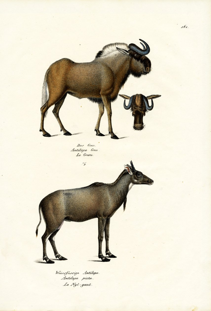 हर्बेबेस्ट, 1824 द्वारा कार्ल जोसेफ ब्रोड्टमैन