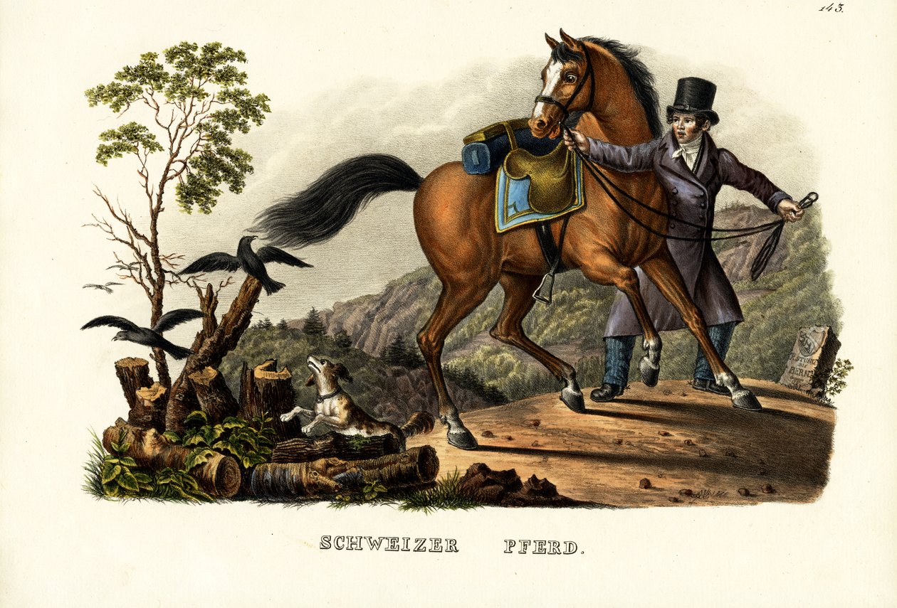 स्विस हॉर्स, 1824 द्वारा कार्ल जोसेफ ब्रोड्टमैन
