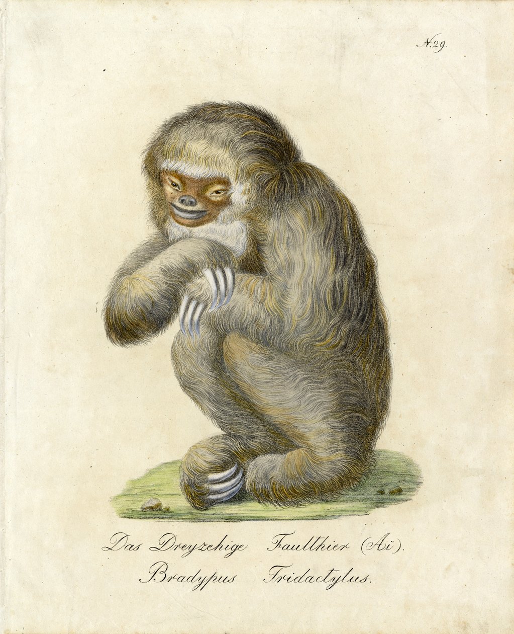  द्वारा कार्ल जोसेफ ब्रोड्टमैन