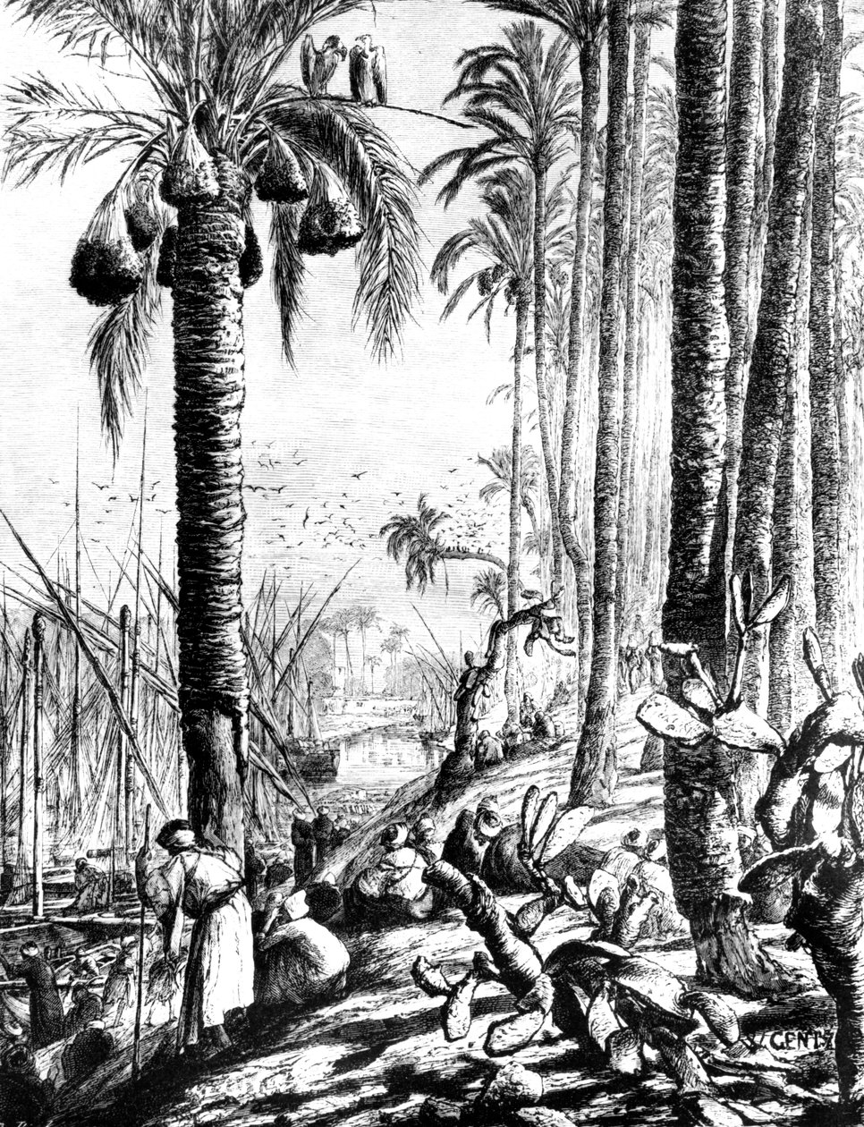 चैनल के किनारे, महमूदियह, 1880 द्वारा कार्ल विल्हेम जेंट्ज़